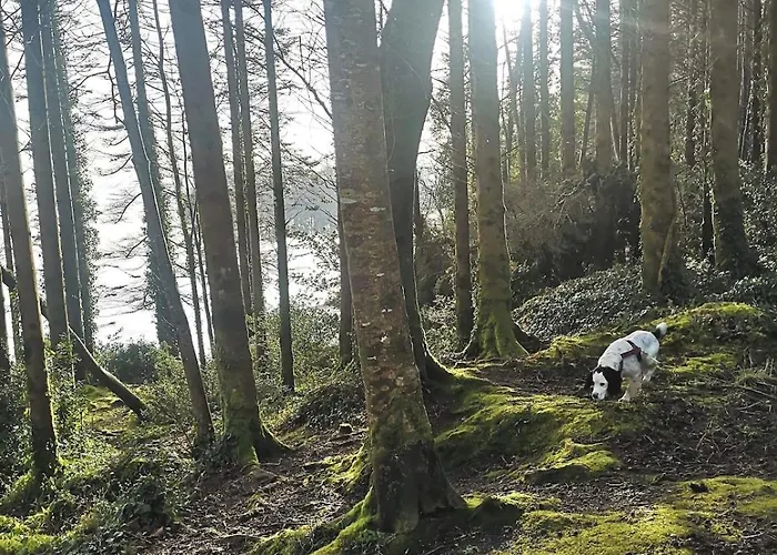 Ben Levy House Suite, Village